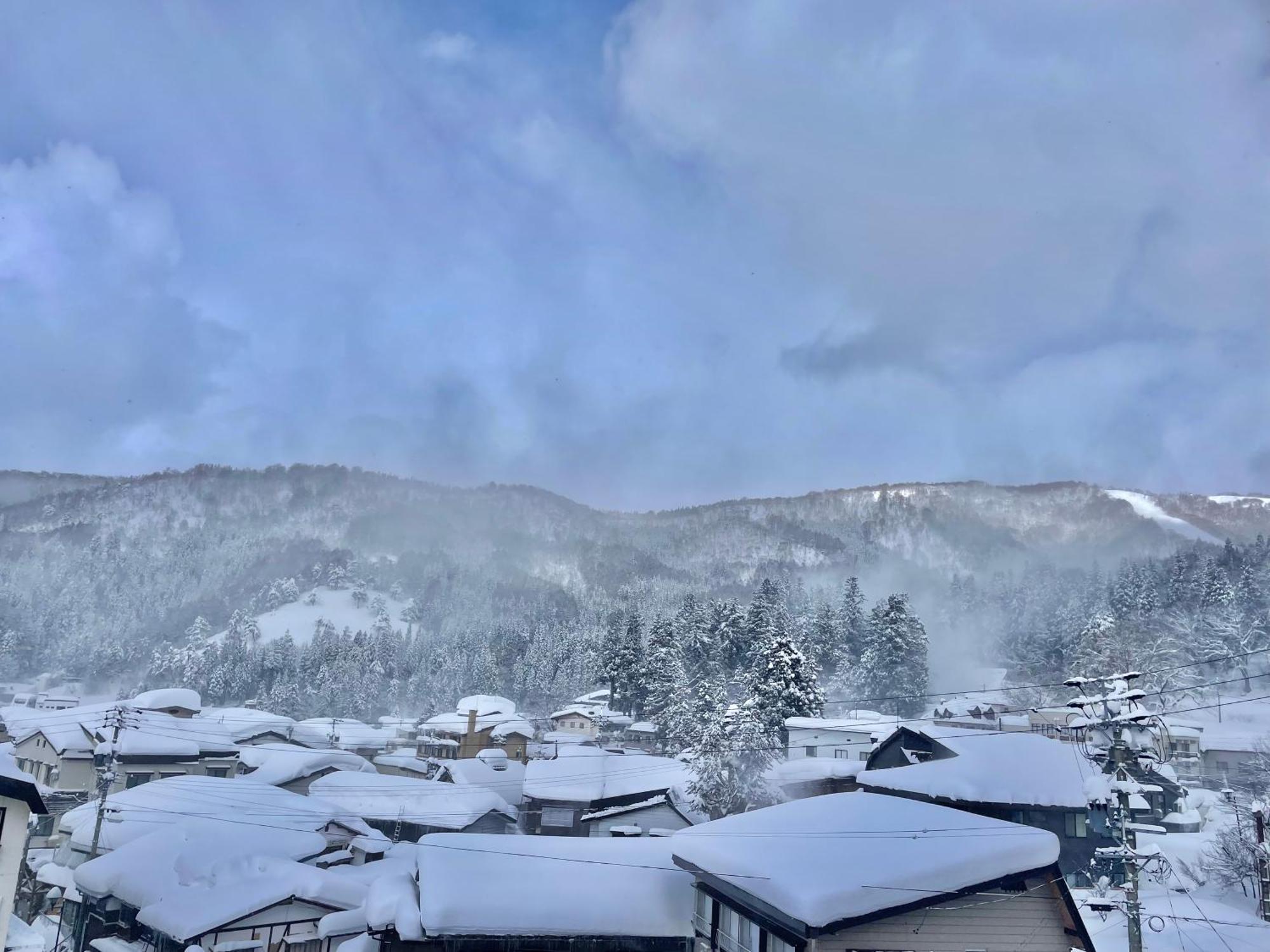 Bamboo-hill 2* Nozawaonsen